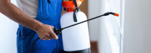 pest control worker with sprayer